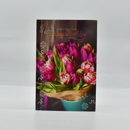 Have A Very Very Happy Birthday Greeting Card