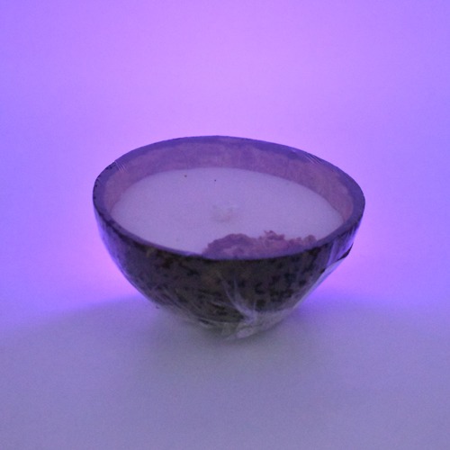 Coconut Shell Candle | Attractive shape Candle | Home Decor